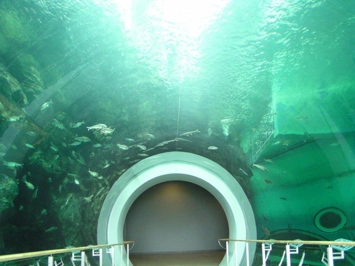 Kitabiwako Hotel Grazie Nagahama  Kültér fotó